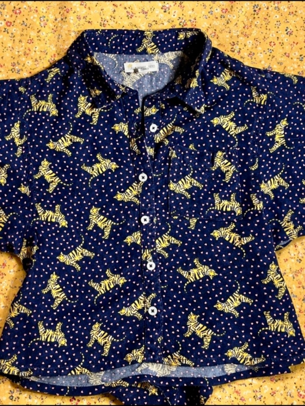 Tucker+Tate button up top